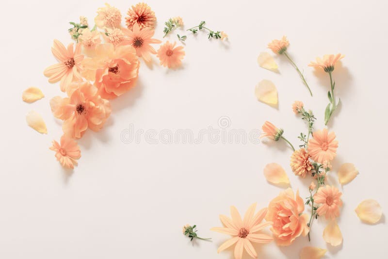 Yellow  flowers on white background