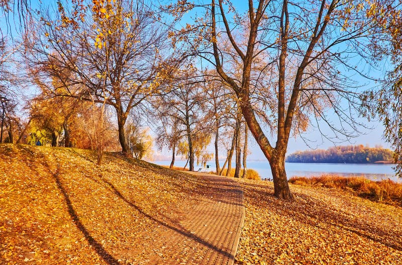 The yellow foliage on the ground of autumn riverside park, Obolon, Kyiv, Ukraine stock images