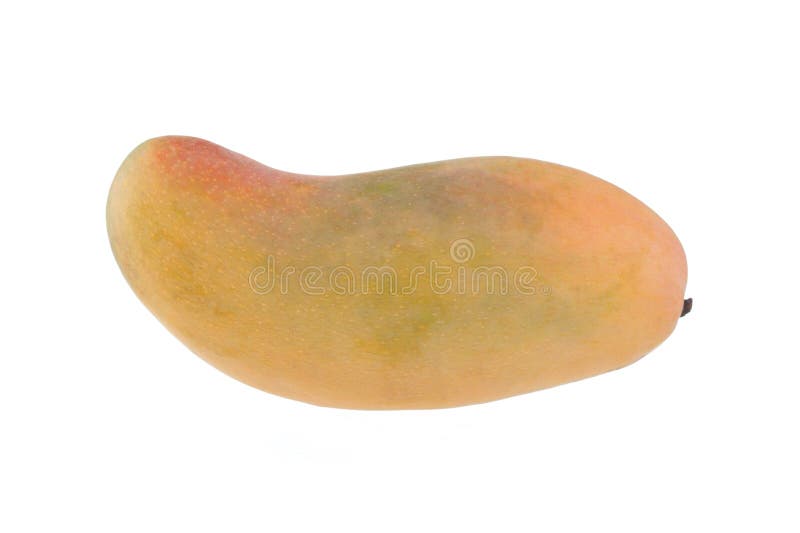 Yellow Rotten Mango Fruit Isolated on White Stock Photo - Image of object,  damaged: 81460752