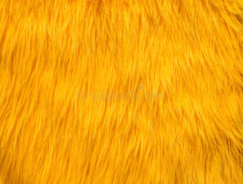 Yellow Fur Abstract Texture Stock Photo Image of coat, factitious