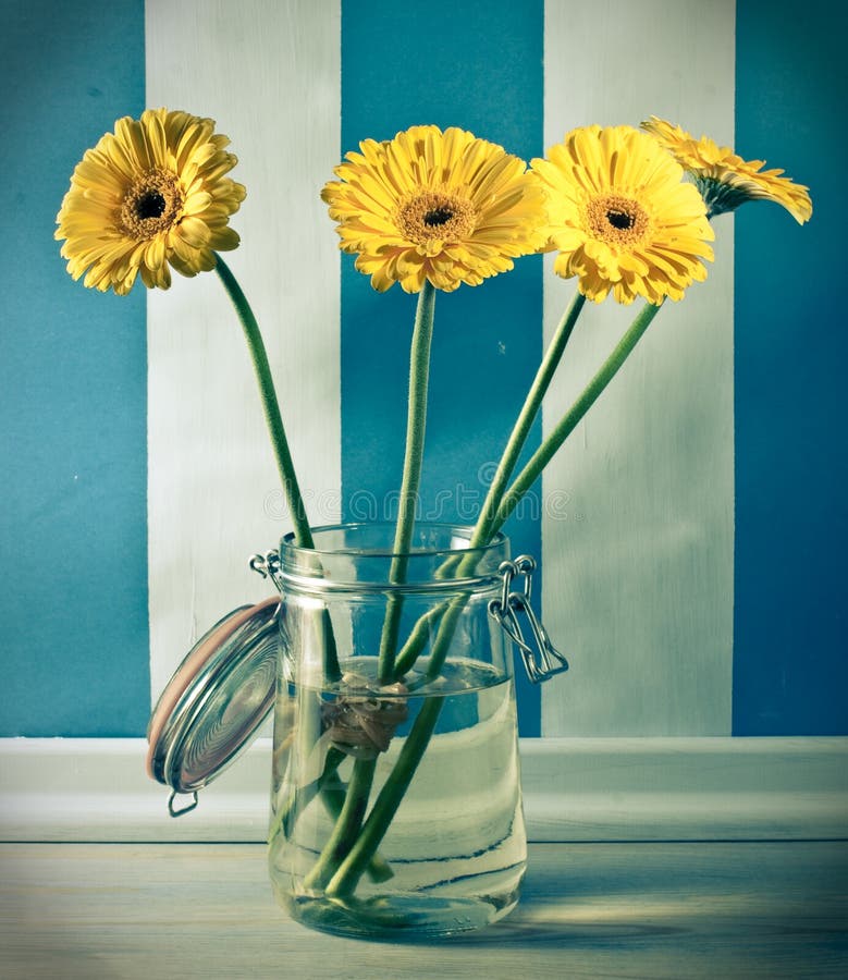 Yellow gerberas flowers in jar