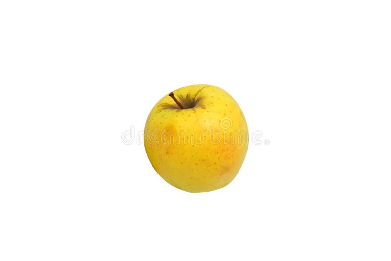 Yellow Golden Delicious Apple Stock Photo Image of full, single 30304016
