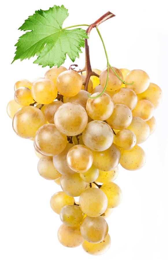 Yellow grape cluster stock image. Image of food, natural 12097157