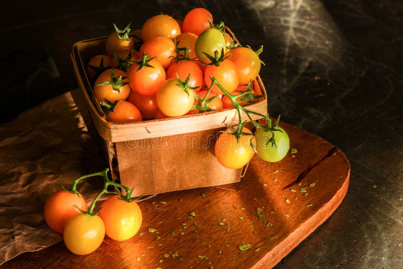Yellow Grape Tomatoes in Natural Light Stock Photo Image of yellow