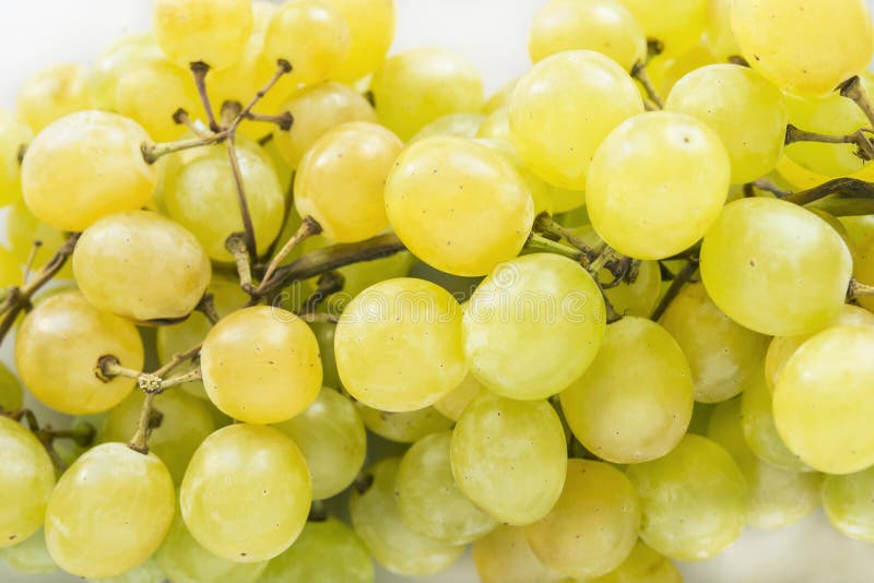 Yellow grapes stock image. Image of berries, kitchen 33301805