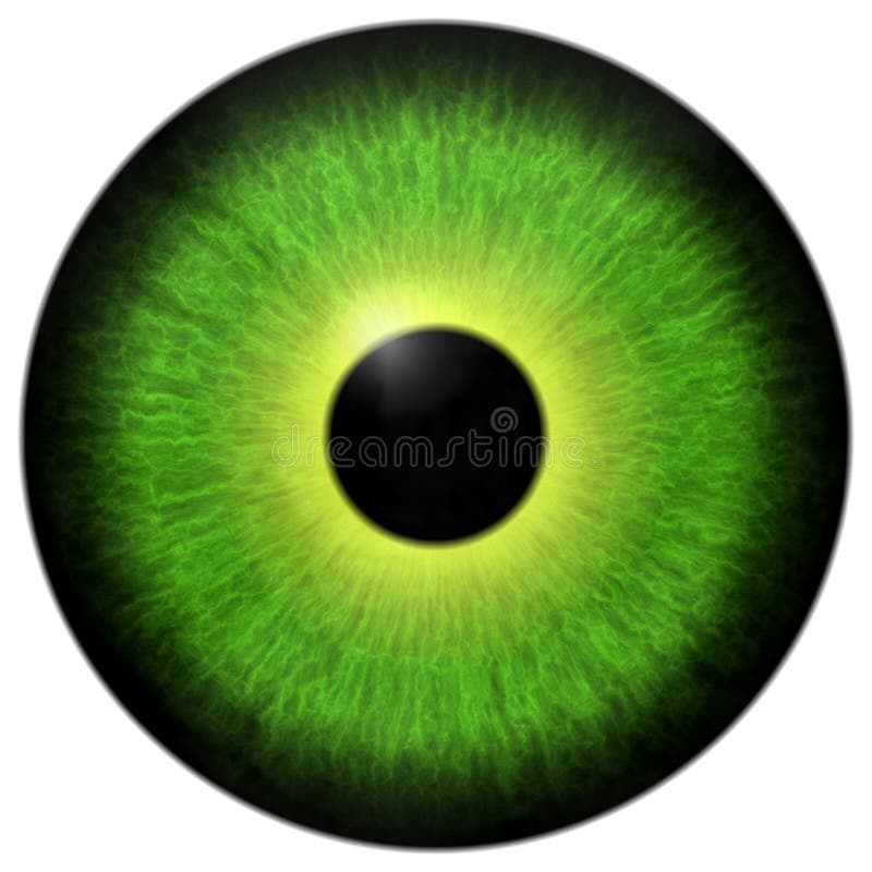 Eyeball Texture Stock Illustrations – 2,500 Eyeball Texture Stock  Illustrations, Vectors & Clipart - Dreamstime