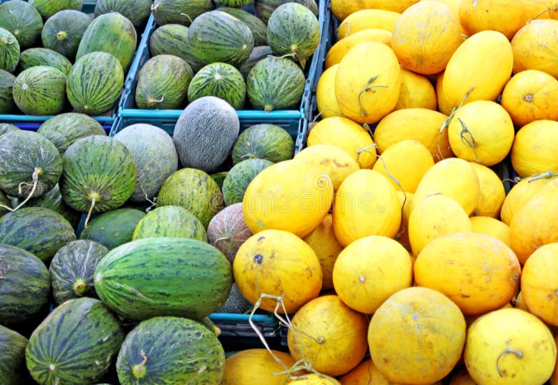 Yellow and green melons stock image. Image of background 27370287