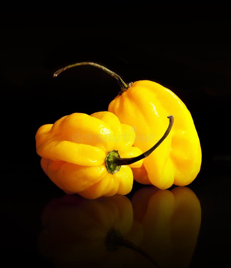 Yellow habanero peppers stock image. Image of backgroud 47357677