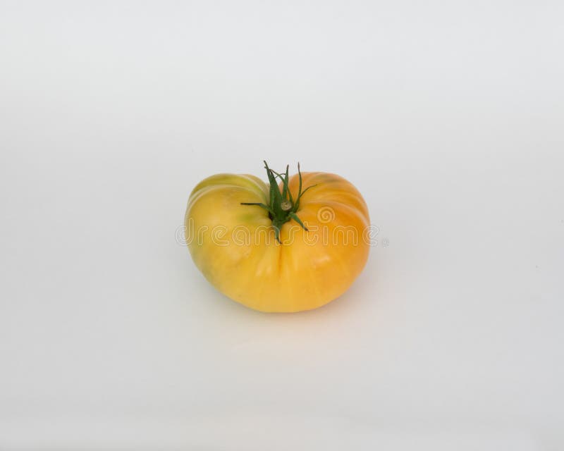 A Yellow Heirloom Tomato Isolated on White Stock Image Image of macro