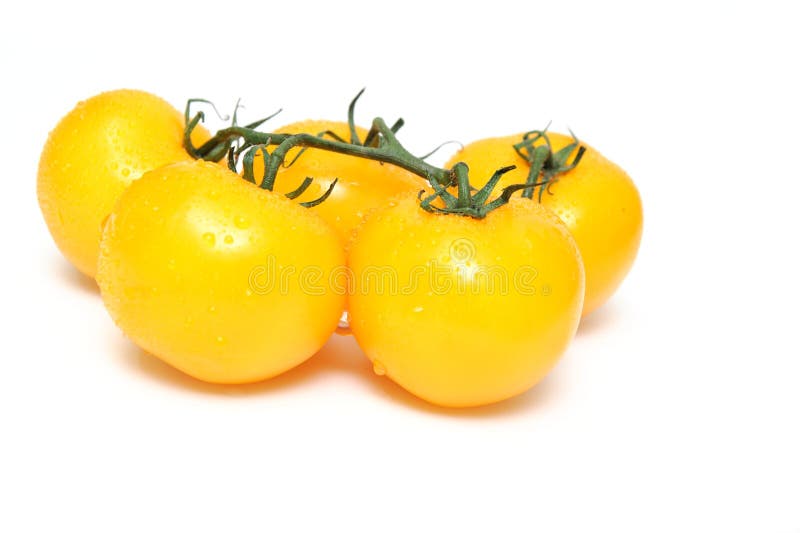 Yellow Heirloom Tomatoes stock image. Image of vegetables 11018697
