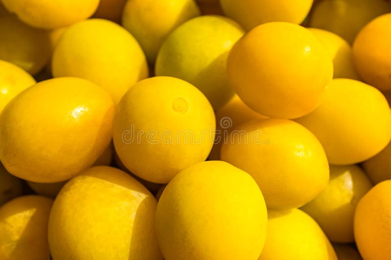 Honey and Plum Glazed Ham for Christmas Stock Image Image of homemade