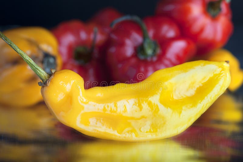 Yellow hot pepper stock photo. Image of yellow 15023092