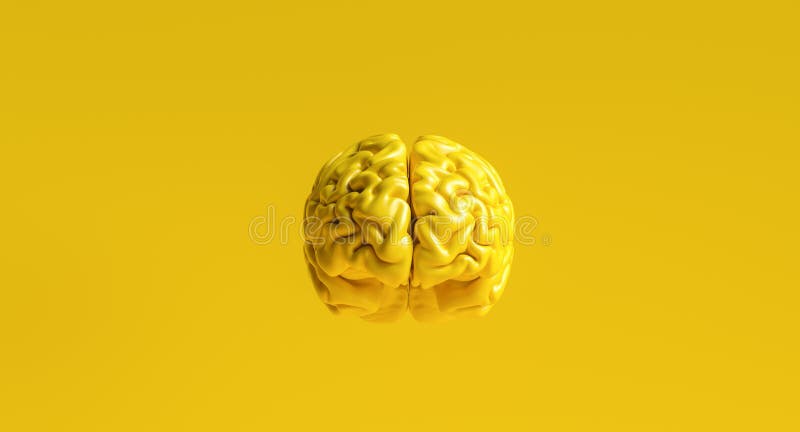Yellow Human Brain Against Yellow Background Anatomical Model on Floor
