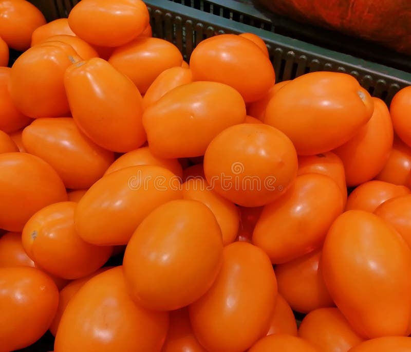 Download 433 Tomatoes Plastic Tray Photos Free Royalty Free Stock Photos From Dreamstime Yellowimages Mockups