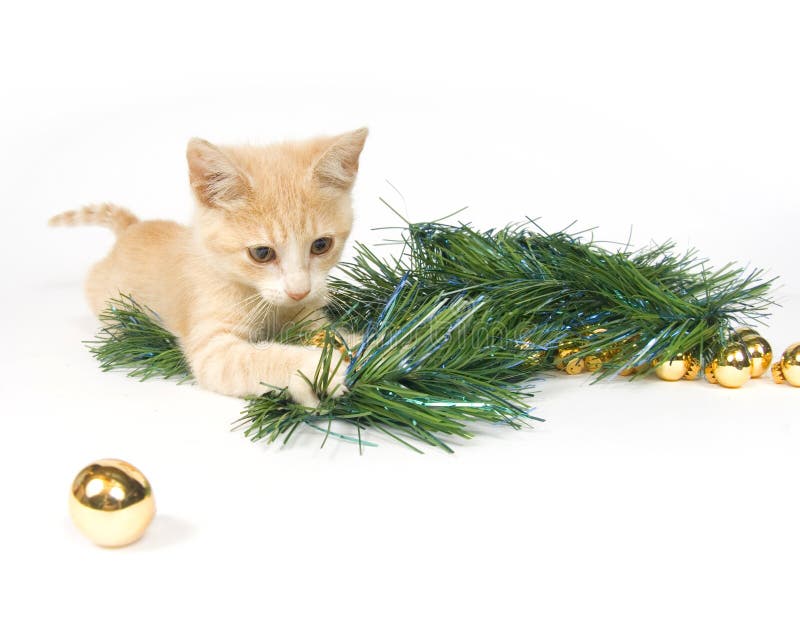 Yellow kitten playing with Christmas Decorations