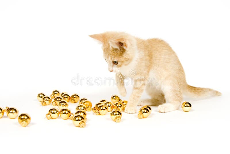 Yellow kitten playing with Christmas Decorations