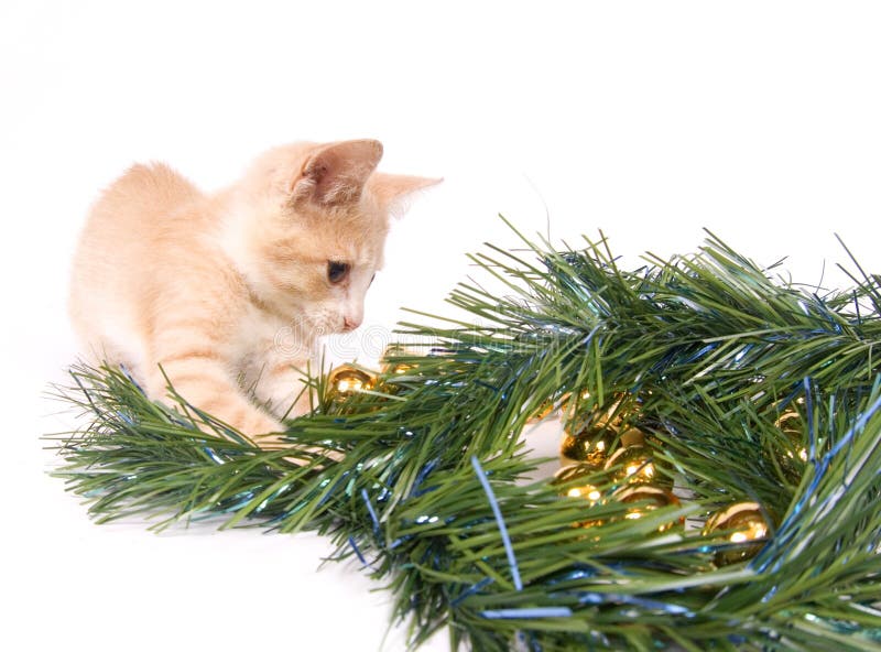 Yellow kitten playing with Christmas Decorations