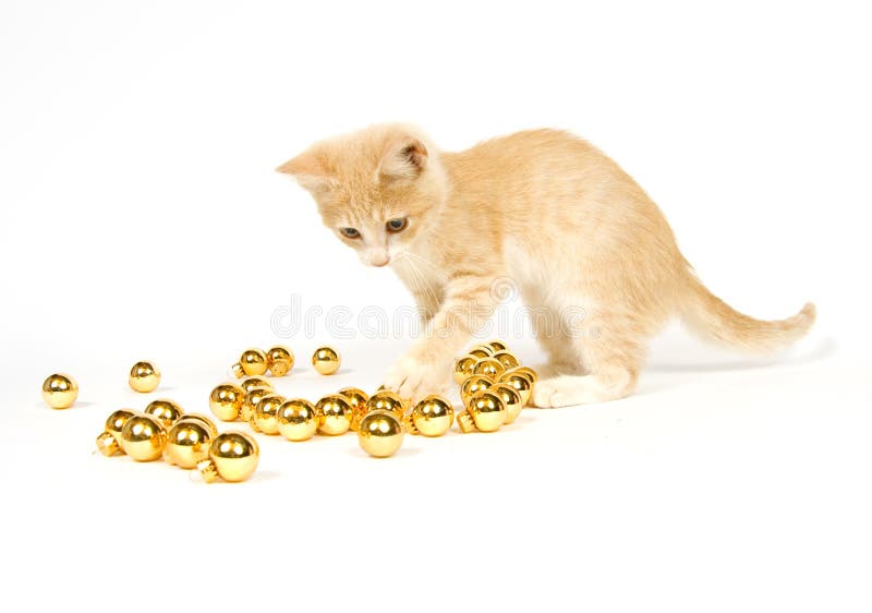 Yellow kitten playing with Christmas Decorations