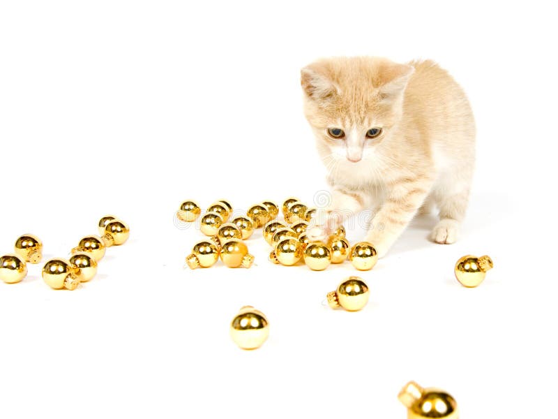 Yellow kitten playing with Christmas Decorations