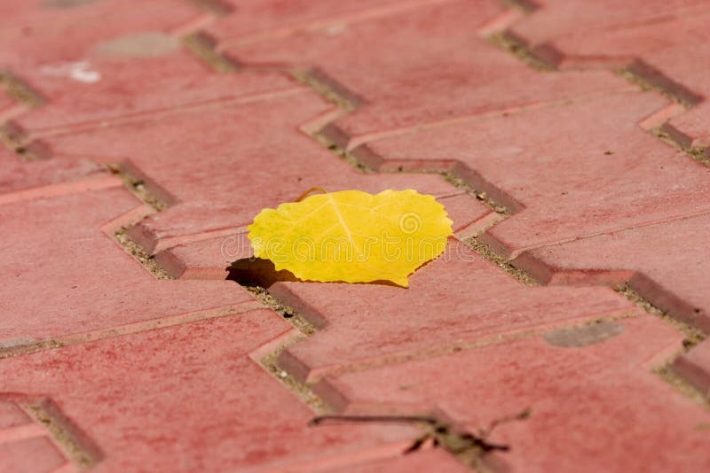 Yellow Leaf