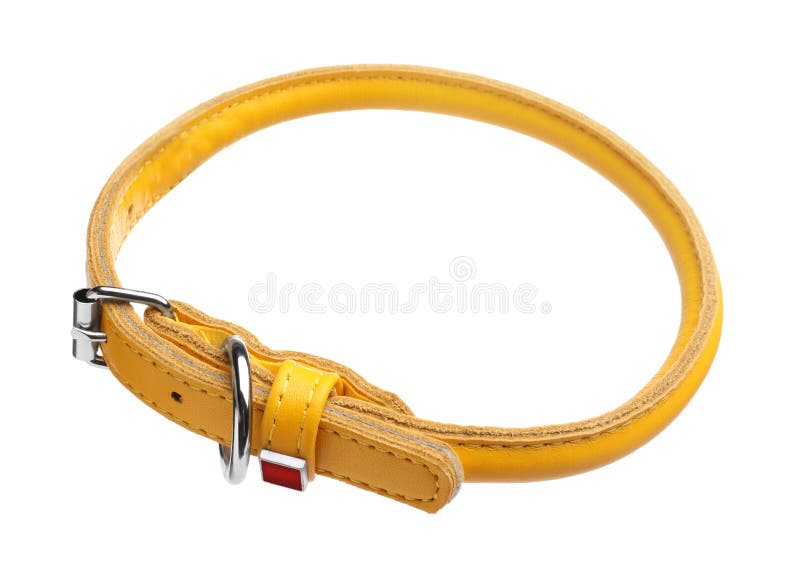Yellow Leather Dog Collar on White Stock Photo Image of design