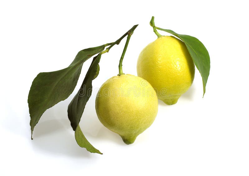 CITRON JAUNE