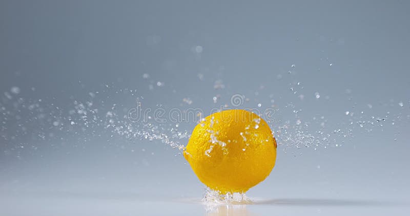 Yellow lemons, citrus limonum, fruits falling on water