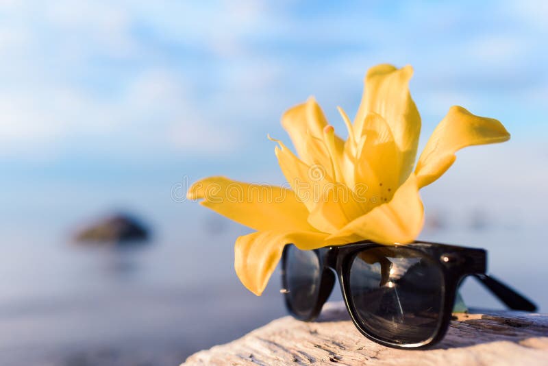 Yellow lily and glasses stock image. Image of background 60674513