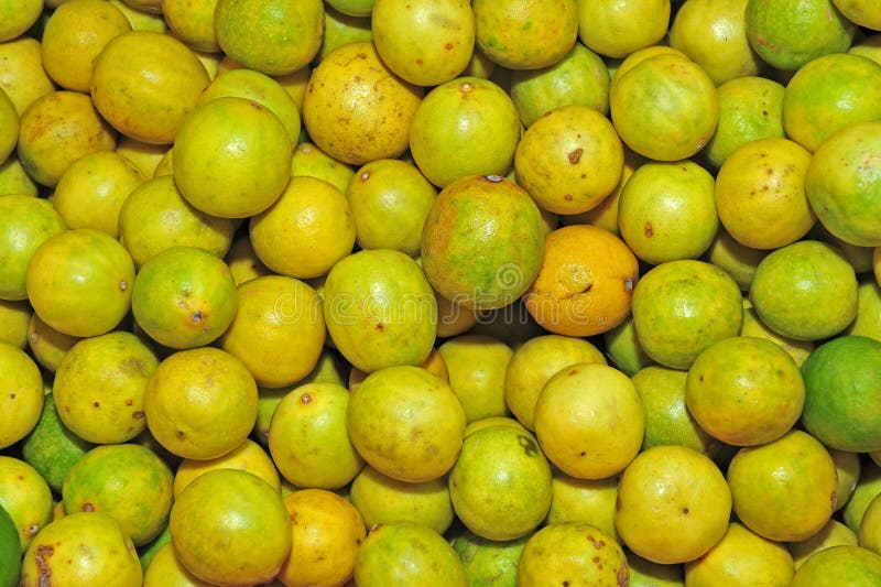 Yellow Lime Royalty Free Stock Images Image 16185819
