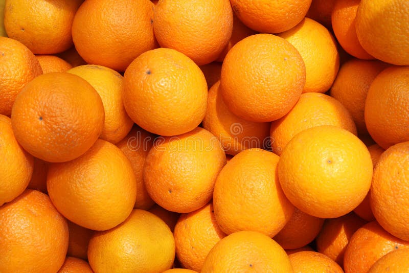 569 Fruit Malta Photos Free & RoyaltyFree Stock Photos from Dreamstime