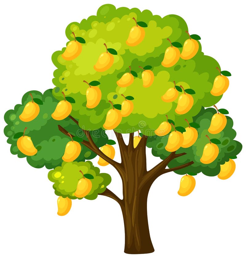 Mango Tree Clipart Stock Illustrations – 135 Mango Tree Clipart Stock ...
