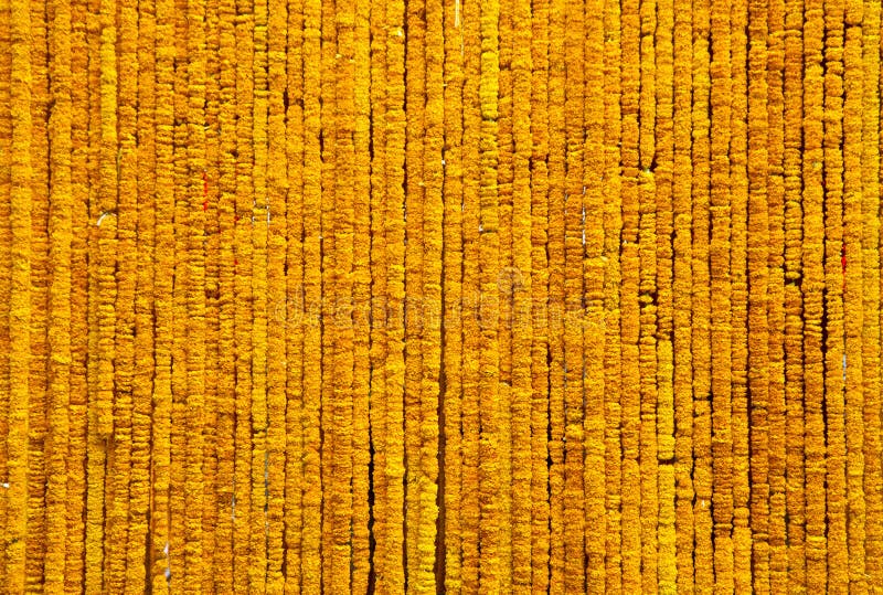 Yellow Marigold Flower Background Stock Photo - Image of beautiful,  religious: 113496406