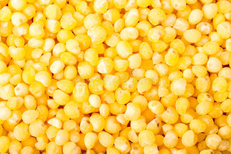 Yellow Millet As Backround Macro Close Up Stock Photo Image of