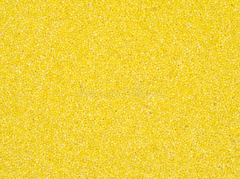 Yellow Millet Grains in the Bulk Stock Image Image of closeup, millet