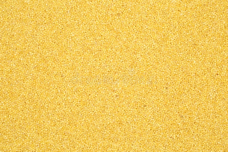 Yellow Millet Grains in the Bulk Stock Image Image of ingredient