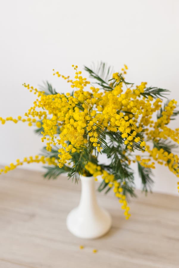 Yellow Mimosa Flowers in a Vase Stock Image Image of flora, bright