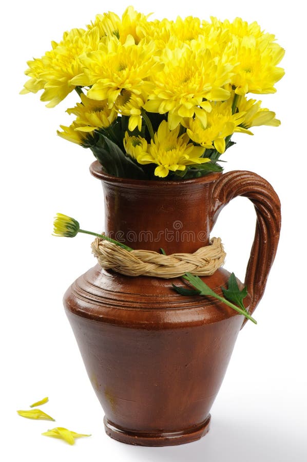 Yellow mums flowers