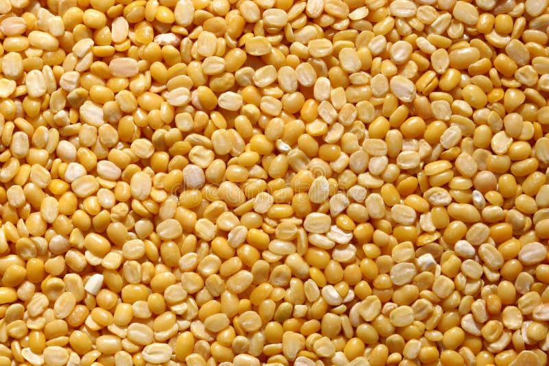 Yellow Mung beans stock photo. Image of seed, indian 106821042