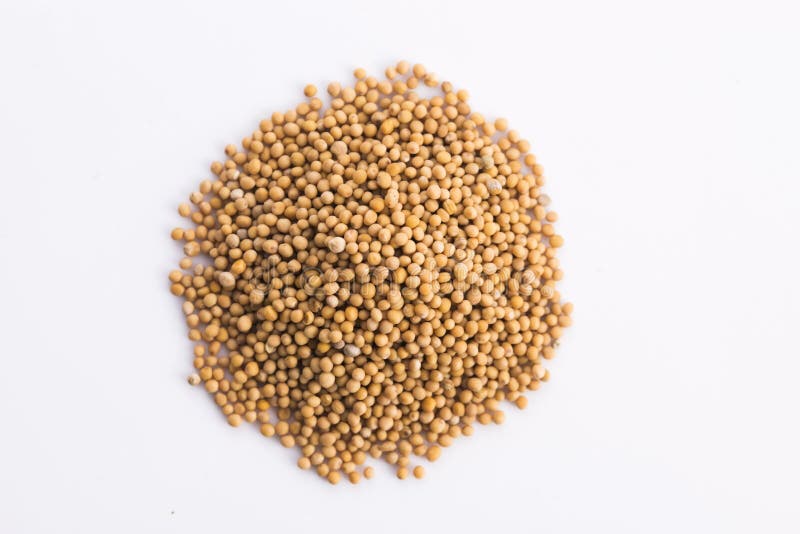 Yellow Mustard Seeds Isolated Stock Photo Image of food, yellow 54292804