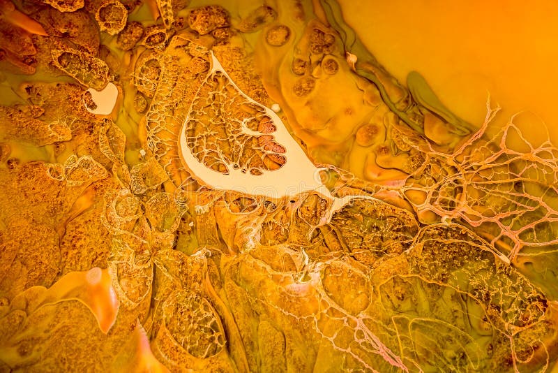 Yellow Oil Paint Mixed Flows Stock Photo Image of texture, blue