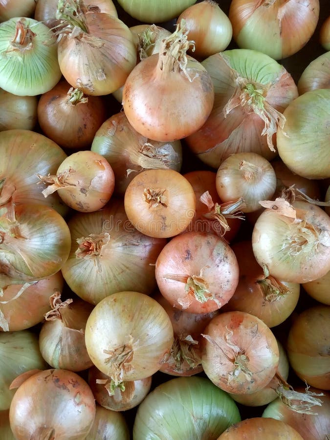 Harvest Time Series Stock Photos Free & RoyaltyFree Stock Photos