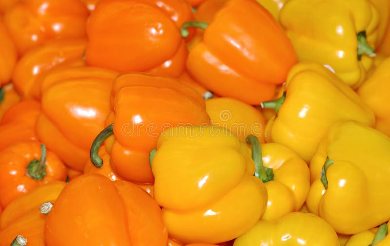 Yellow & Orange Peppers
