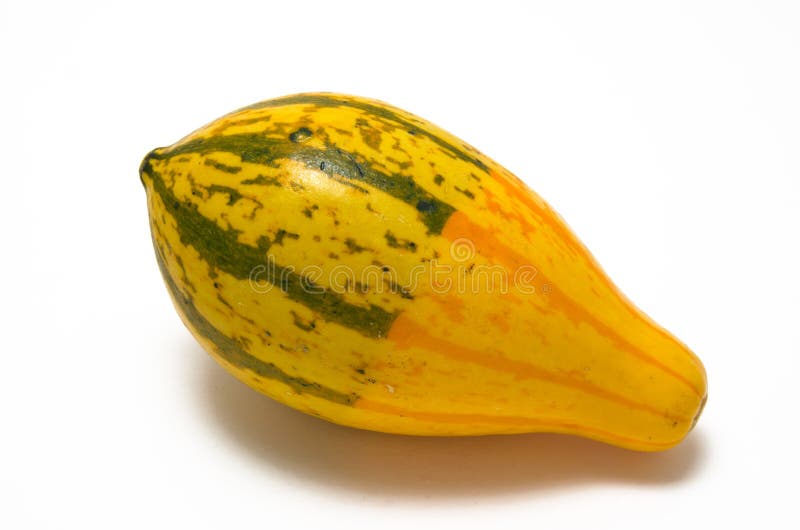 Yellow and orange squash stock photo. Image of natural 26809166