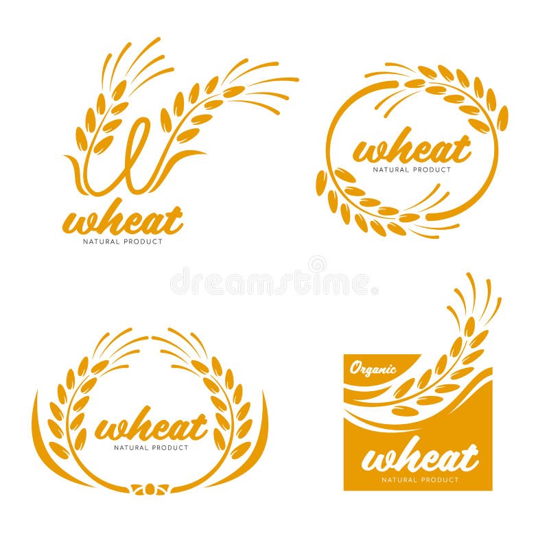 Yellow Paddy Wheat rice grain products food banner sign logo vector art design