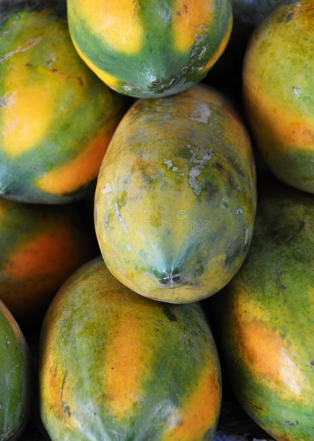 Yellow Papaya Fruit stock image. Image of portrait, natural 14049041