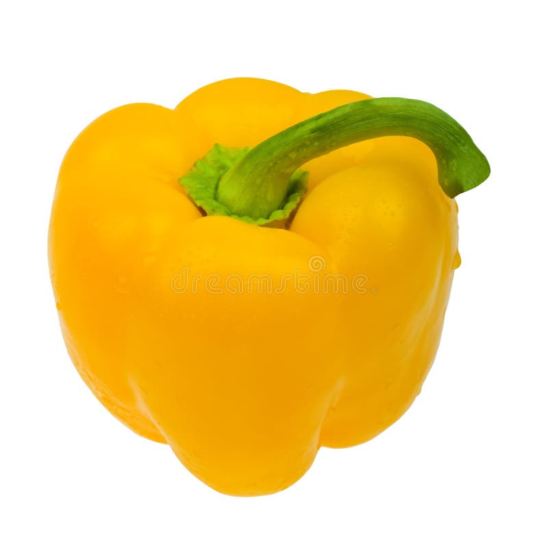 Yellow paprika with water drops on white