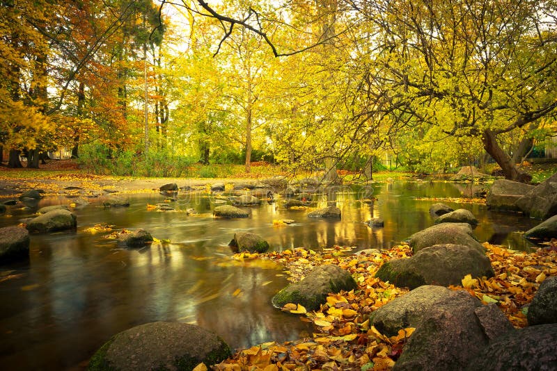 Yellow Park Scenery in the Autumn Stock Image Image of outdoors, path