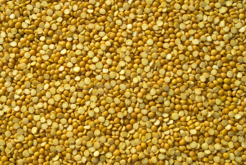 Yellow peas stock image. Image of nutrition, peas, health 67047409