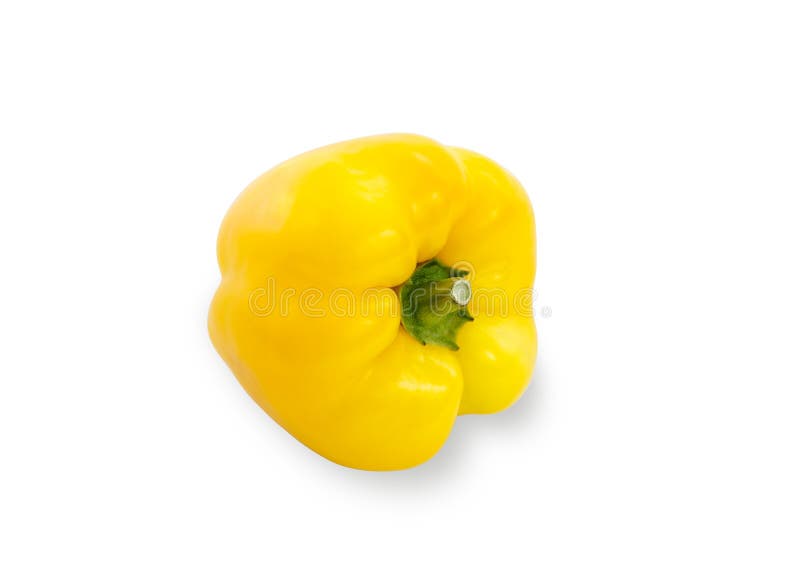 Red and Yellow Pepper Plant Growing on the Ground. Vertical Orientation