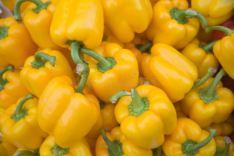 Yellow pepper vegetables stock photo. Image of pepper - 11545496